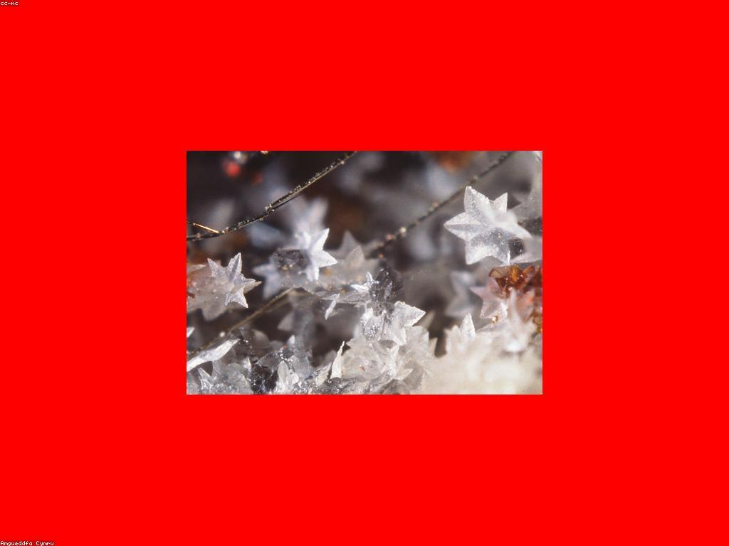 ការបង្កើតស្លាបព្រិលអនឡាញ: ការយល់ដឹងនិងការច្នៃប្រឌិត