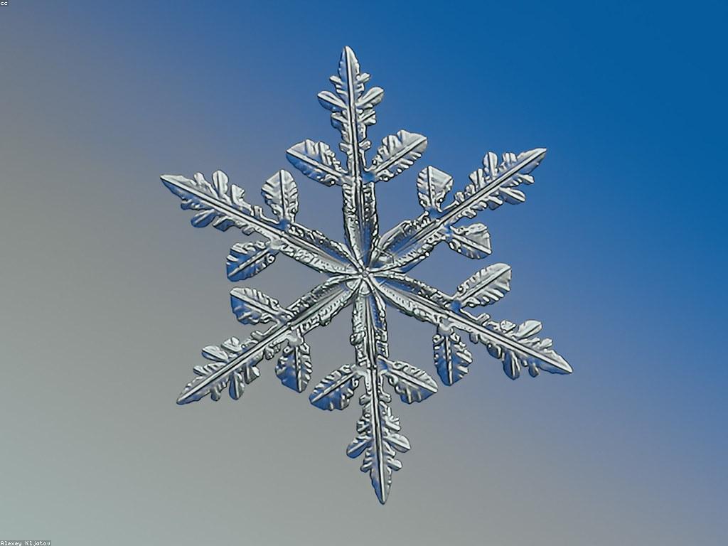 ការប្រើប្រាស់ស្លាបព្រិលអនឡាញយ៉ាងច្នៃប្រឌិត