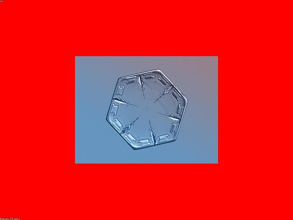 ការបង្កើតស្លាបព្រិលអនឡាញសម្រាប់ការផ្សព្វផ្សាយ